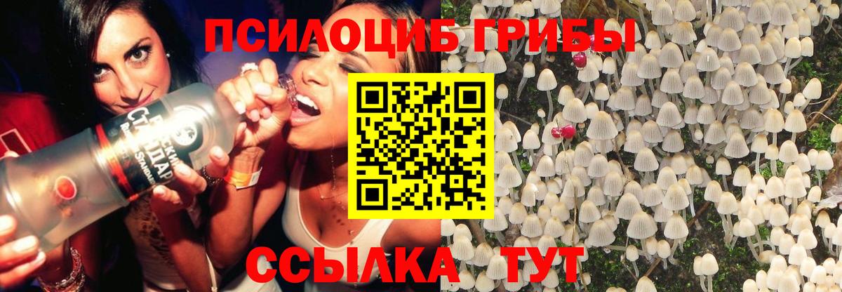 Псилоцибиновые грибы MAGIC MUSHROOMS Каменка