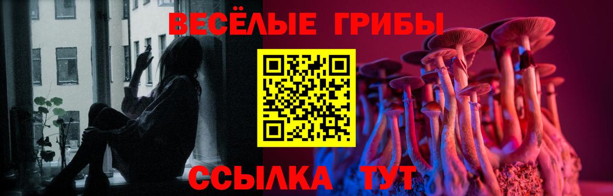Галлюциногенные грибы Magic Shrooms  Вход с VPN  Каменка 