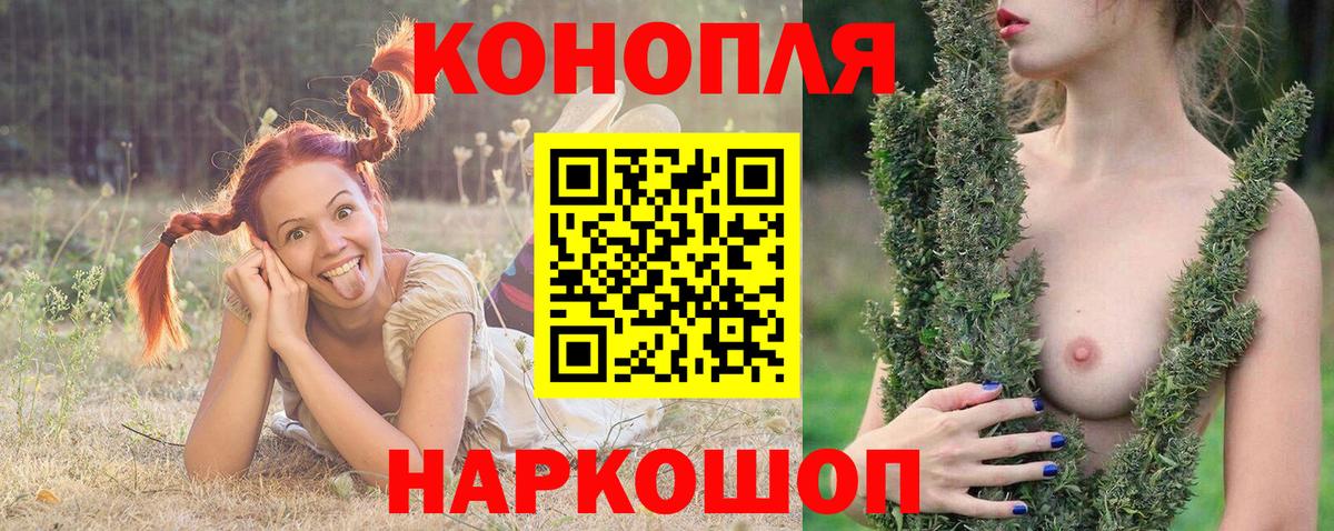 Бошки Шишки тримм  Вход с VPN  Канабис MAZAR  Шишки марихуана конопля  Каменка 